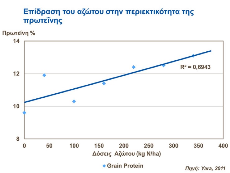Αζωτο και Πρωτεινη στο Σιτάρι