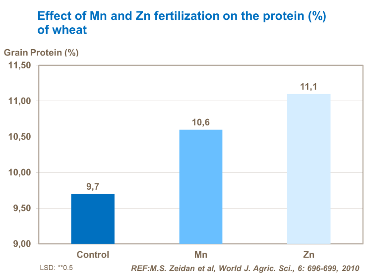 Μαγγανιο και Ψευδαργυρος - πρωτεινη