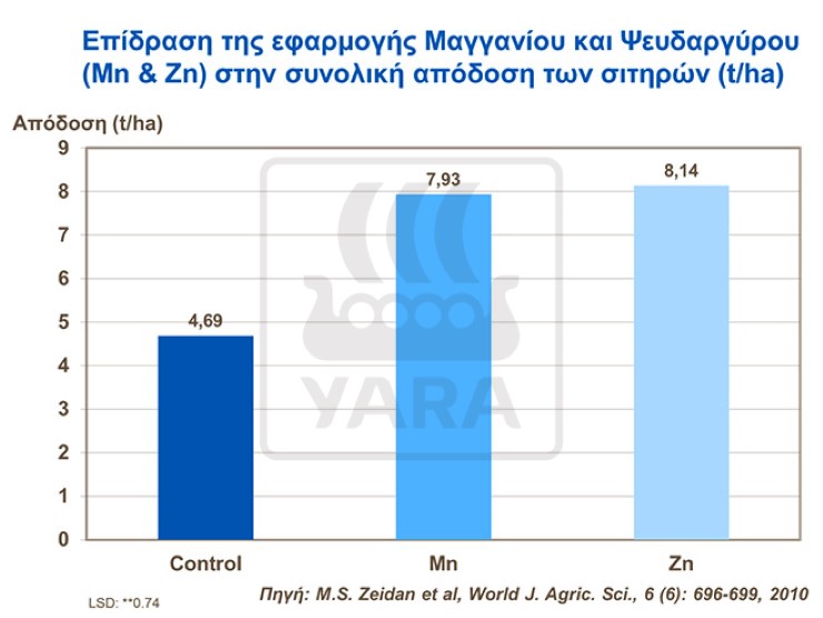 Επίδραση Μαγγανίου και Ψευδαργύρου στα σιτηρά