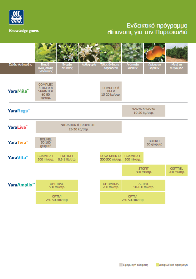Πρόγραμμα λίπανσης πορτοκαλιάς