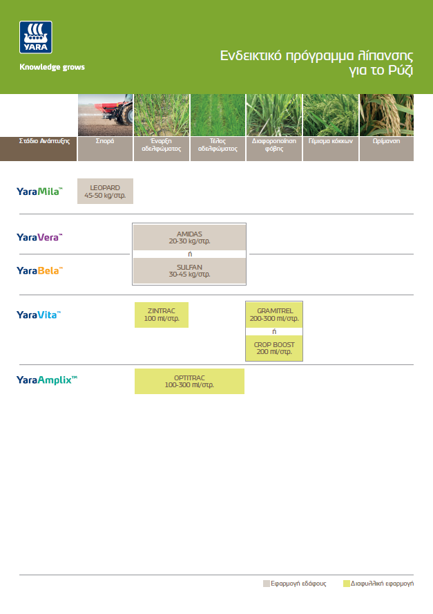 Προγράμματα Λίπανσης Ρύζι