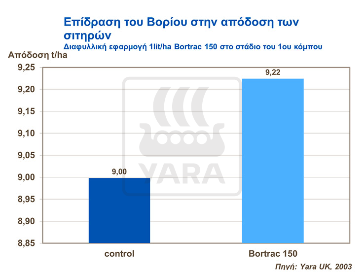 Επίδραση Βορίου στην απόδοση των σιτηρών