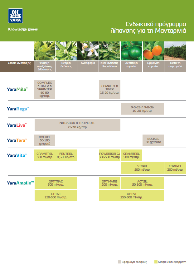 Πρόγραμμα θρεψης μανταρινιάς