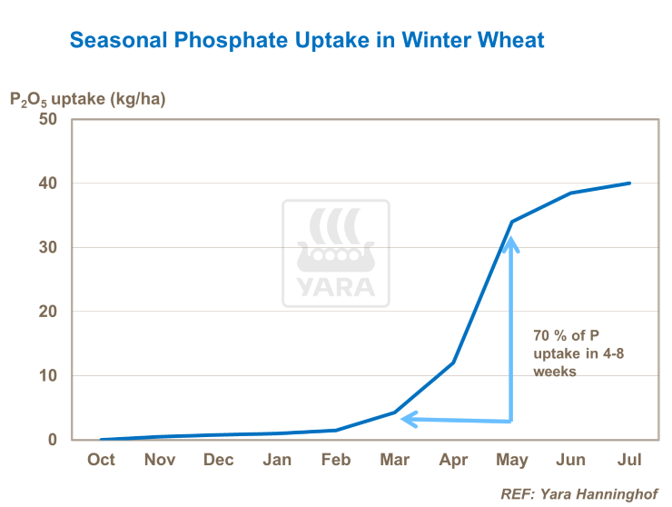 φώσφορος και αύξηση των τελικών αποδόσεων