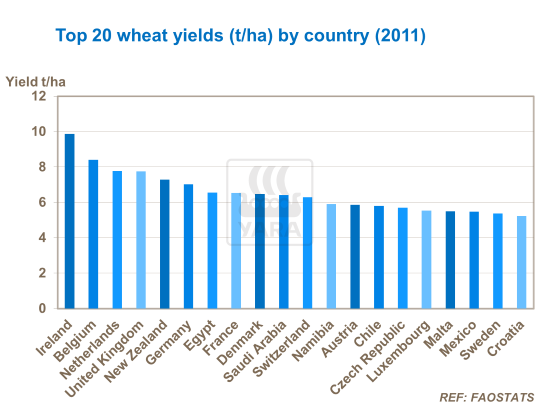 παγκοσμια παραγγη σιτου