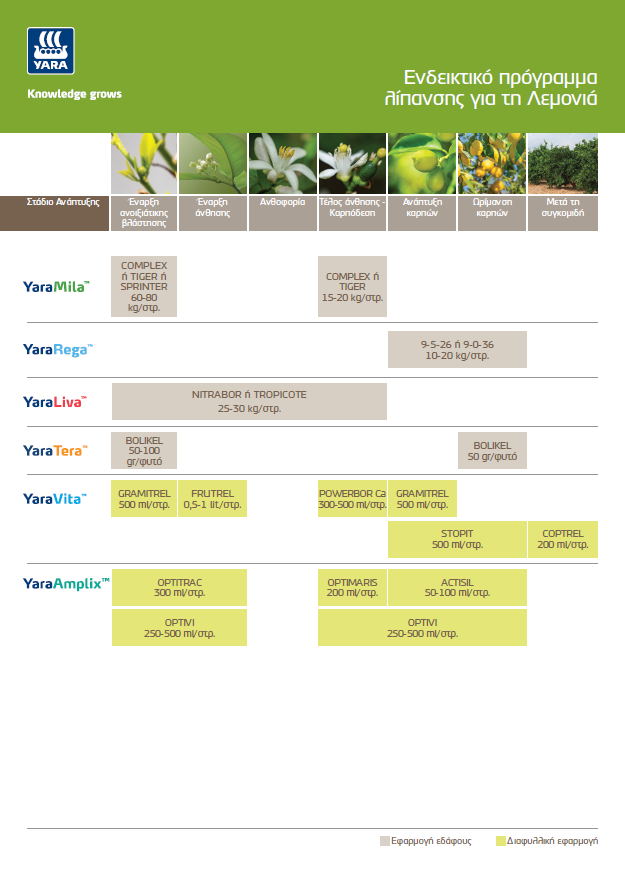 Πρόγραμμα Λίπανσης λεμονιάς