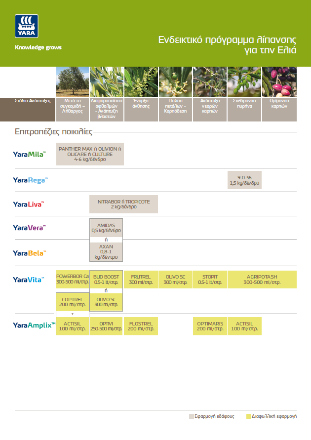 Πρόγραμμα Επιτραπέζιες Ελιές