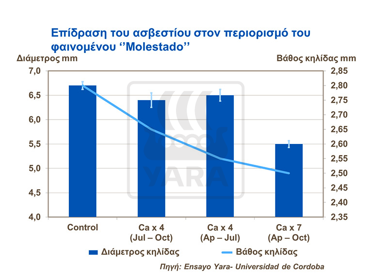 Επίδραση ασβεστιου στο φαινομενο Molestado