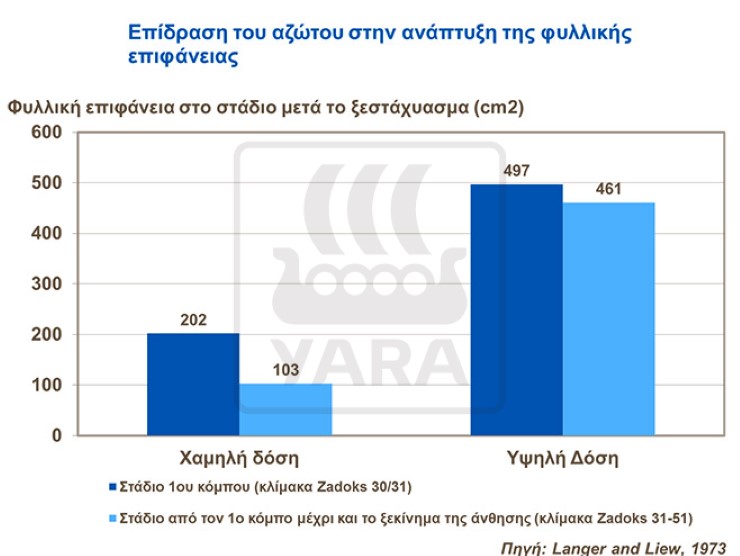 Άζωτο - Φυλλικη επιφανεια Σιταριου
