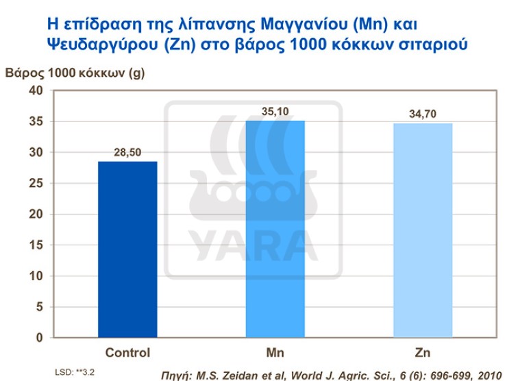 Μαγγάνιο και Ψευδάργυρος στο σιτάρι