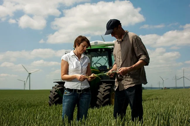 Καλλιέργεια Σιταριού - Η πρόταση Λίπανσης της Yara για το σιτάρι