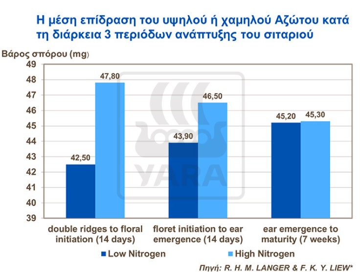 Επίδραση Άζωτου σιτάρι