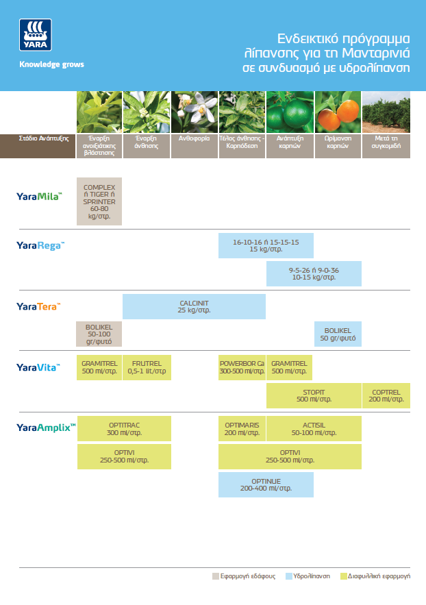 Πρόγραμμα θρεψης μανταρινιάς με υδρολίπανση
