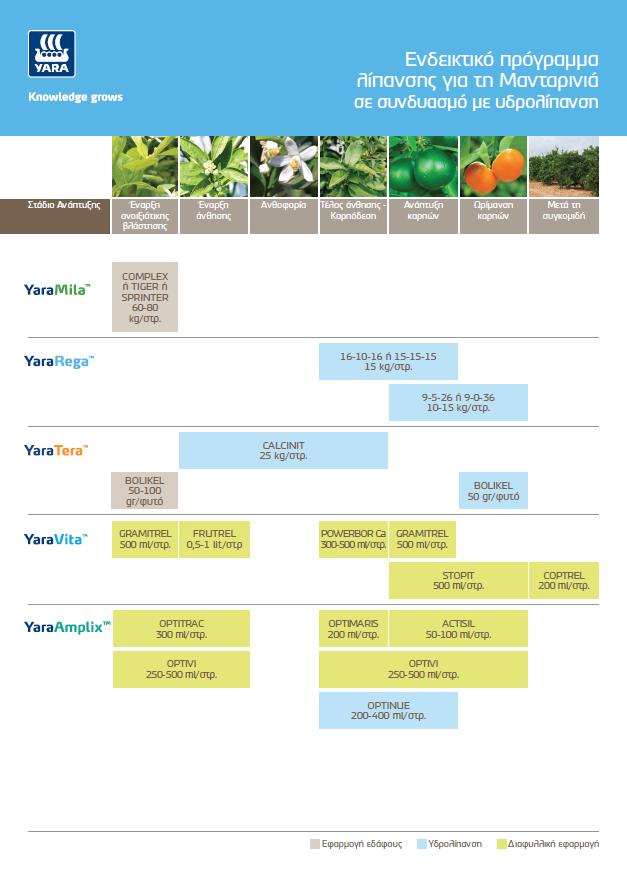 Πρόγραμμα λίπανσης για την μανταρινιά με υδρολίπανση