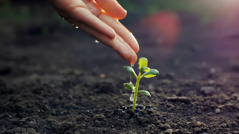 Αναγεννητική γεωργία