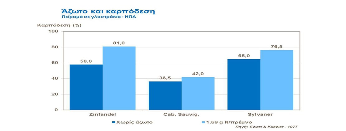 Άζωτο και καρπόδεση στο αμπέλι