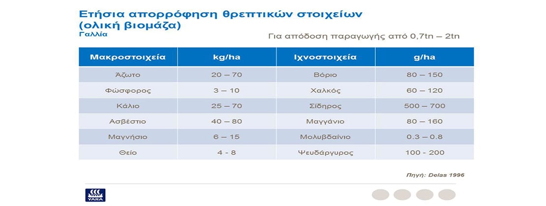 Ετήσια απορρόφηση θρεπτικών στοιχείων στο αμπέλι 