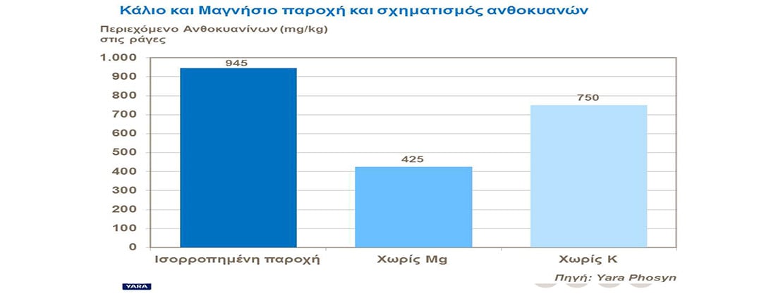 Κάλιο άζωτο και οξύτητα στο αμπέλι