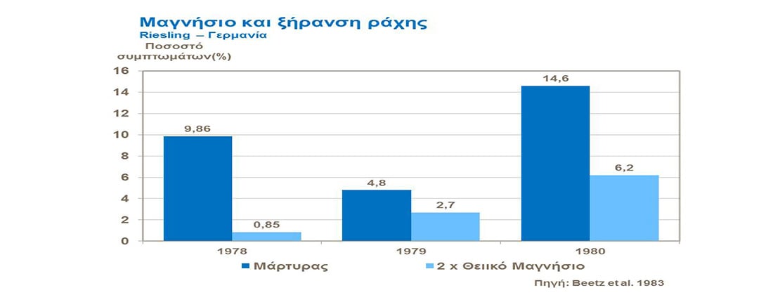 Μαγνήσιο και ξήρανση ράχης 