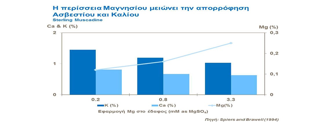 Η περίσσεια Μαγνησίου μειώνει την απορρόφηση Ασβεστίου και Καλίου στο αμπέλι