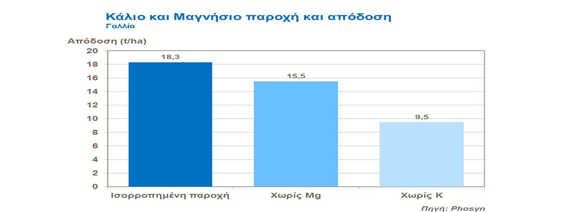 Κάλιο και Μαγνήσιο παροχή και απόδοση στο αμπέλι